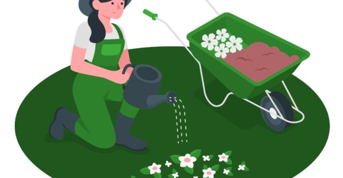 Lawn to Habitat Project is Open for Applications