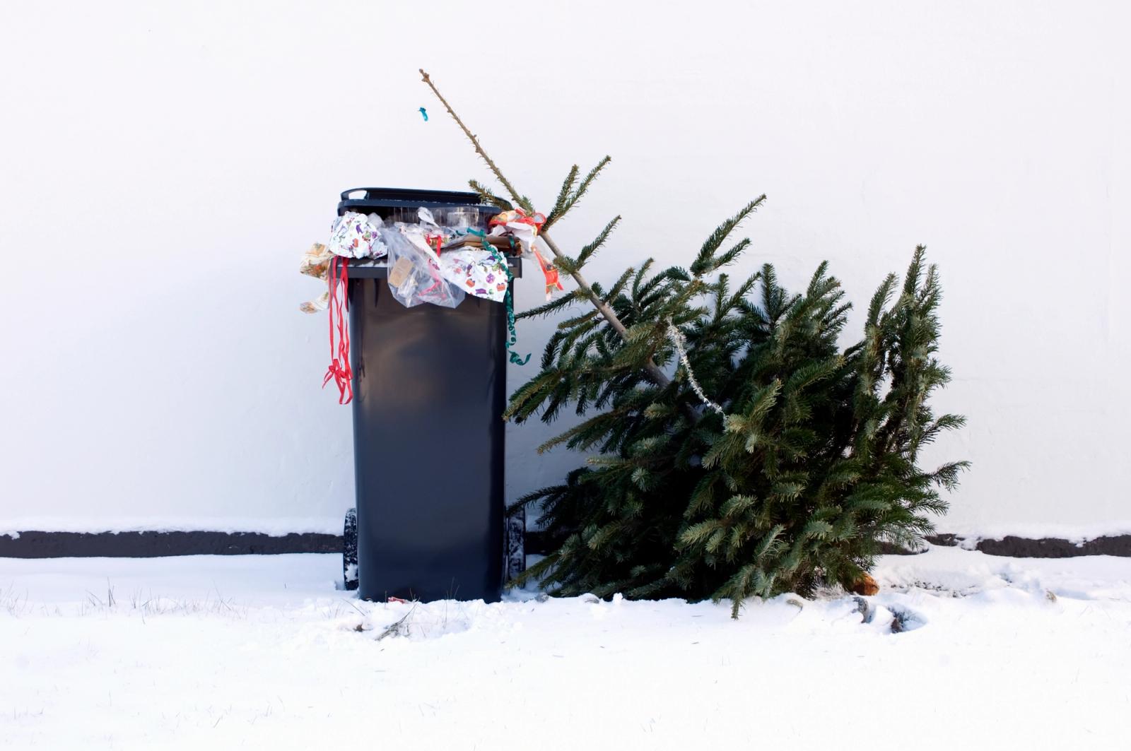 Christmas Tree Disposal Time