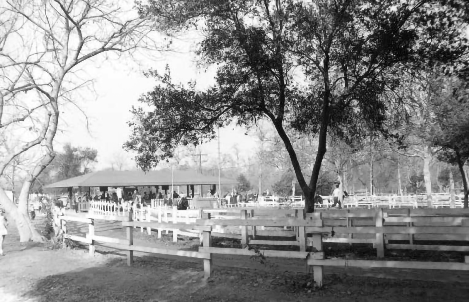 Request for Proposals for the Griffith Park Gateway Concessions