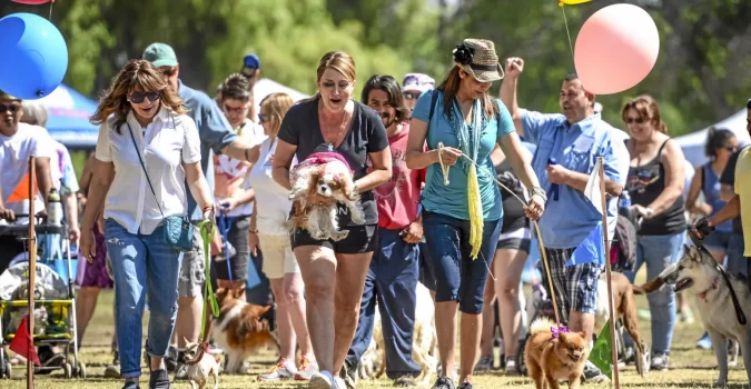 Upcoming CD4 Events in April