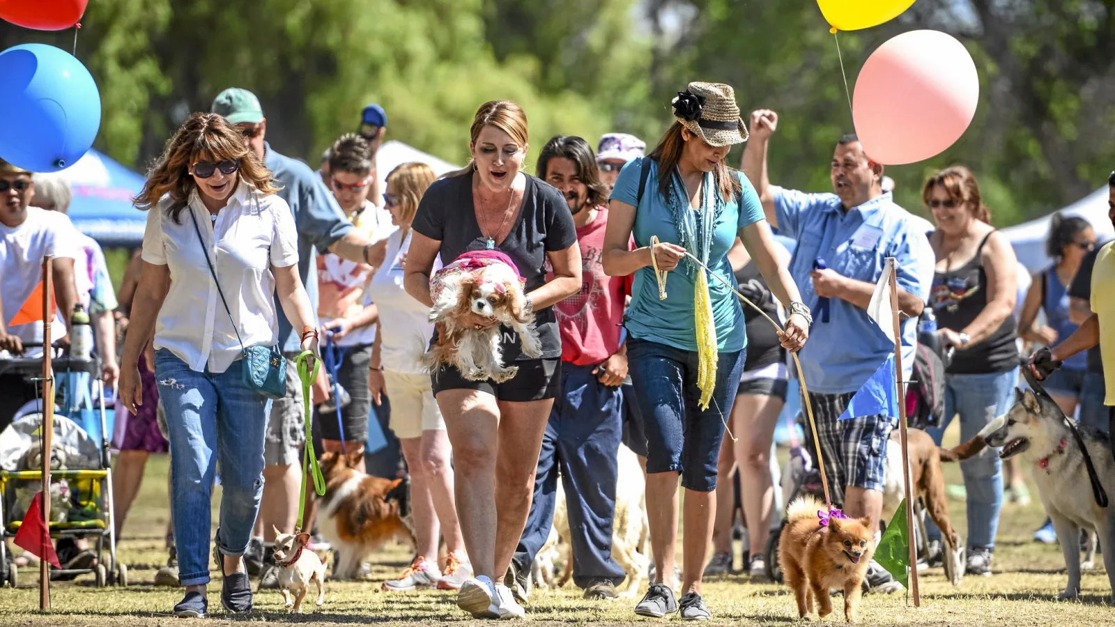 Upcoming CD4 Events in April