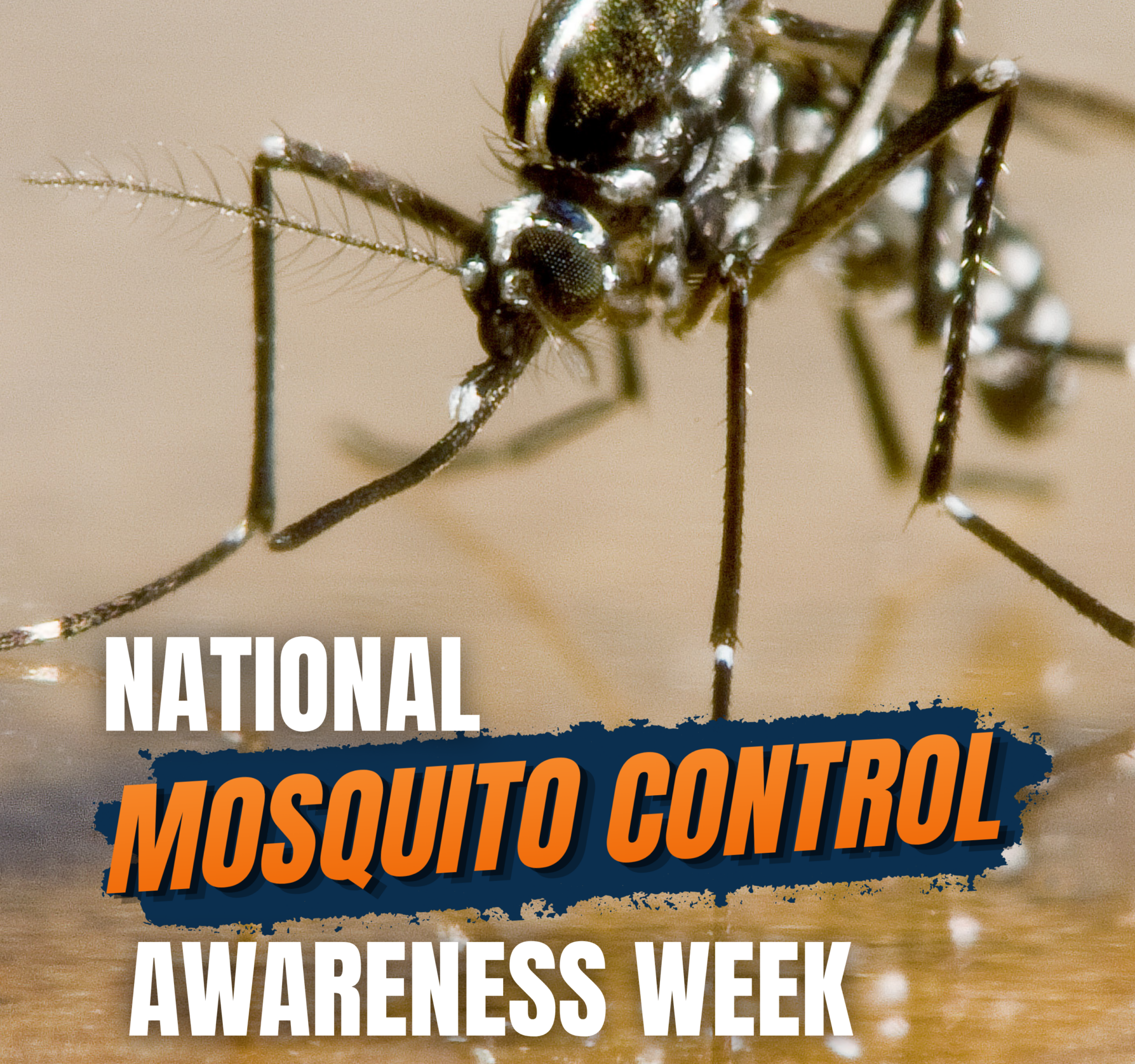 National Mosquito Control Awareness Week